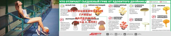 гашик Богородицк