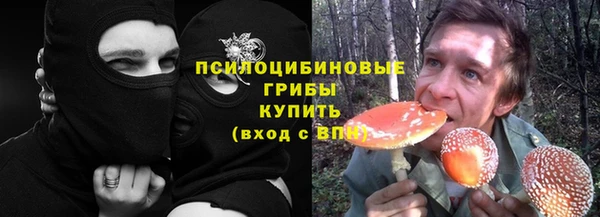 гашик Богородицк