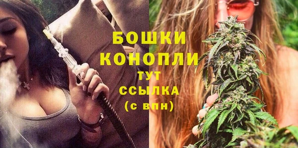 гашик Богородицк